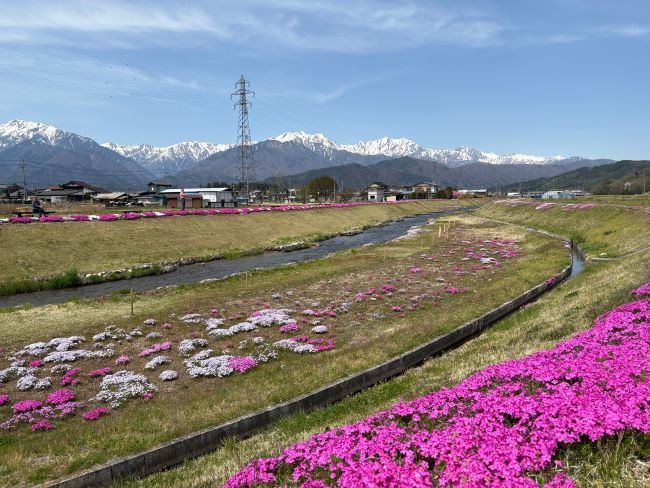 最新情報鹿島槍、爺ヶ岳、鳴沢岳、針ノ木岳へ行こう